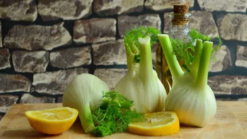 Fenchel auf dem Balkon anbauen
